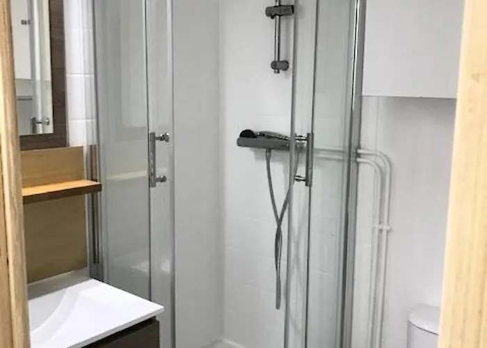 Daire Vanoise - 2 Pers Au Pied Des Pistes Et Au Coeur De La Station Mae-7804 *